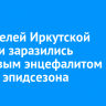 60 жителей Иркутской области заразились клещевым энцефалитом с начала эпидсезона
