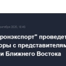 "Рособоронэкспорт" проведет в Египте переговоры с представителями Африки и Ближнего Востока