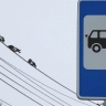 В Красногорске начали выполнять стыковочные рейсы с автобусом, следующим по маршруту № 525