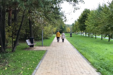 Российские города станут вечнозелёными