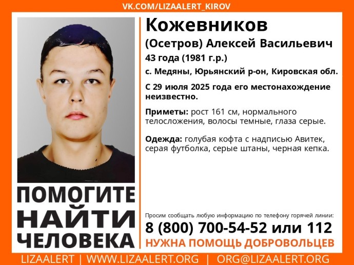 «Лиза Алерт» объявила очередной поиск пропавшего в Медянах мужчины