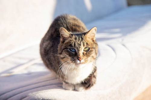 Львов ждет жестокое разочарование, Тельцам будет сложно встать с постели Львов ждет жестокое разочарование, Тельцам будет сложно встать с постели