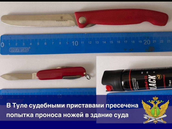 В Туле судебный пристав предотвратил пронос оружия в здание суда
