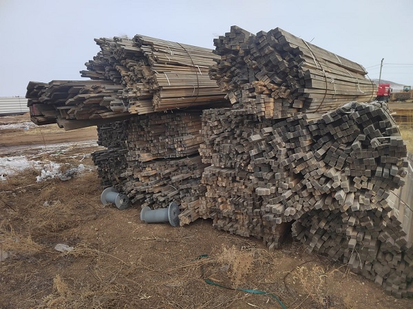 Бурятия оказалась замешана в контрабанде леса на миллиард рублей