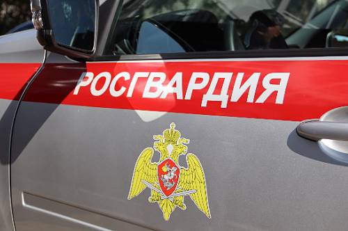 Пьяного водителя приметили и задержали в Тамбовке росгвардейцы