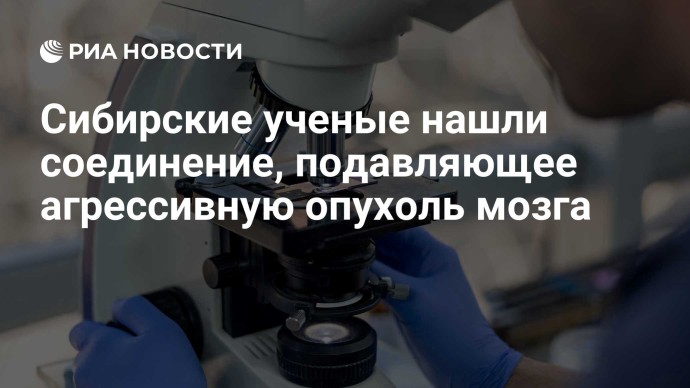 Сибирские ученые нашли соединение, подавляющее агрессивную опухоль мозга Сибирские ученые нашли соединение, подавляющее агрессивную опухоль мозга