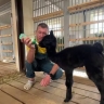 В Пермском зоопарке в семье альпаки произошло пополнение