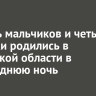 Восемь мальчиков и четыре девочки родились в Иркутской области в новогоднюю ночь