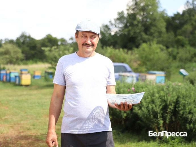 Деликатес на завтрак. Житель волоконовской Александровки разводит перепелов Деликатес на завтрак. Житель волоконовской Александровки разводит перепелов