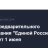 Итоги предварительного голосования "Единой России" подведут 1 июня