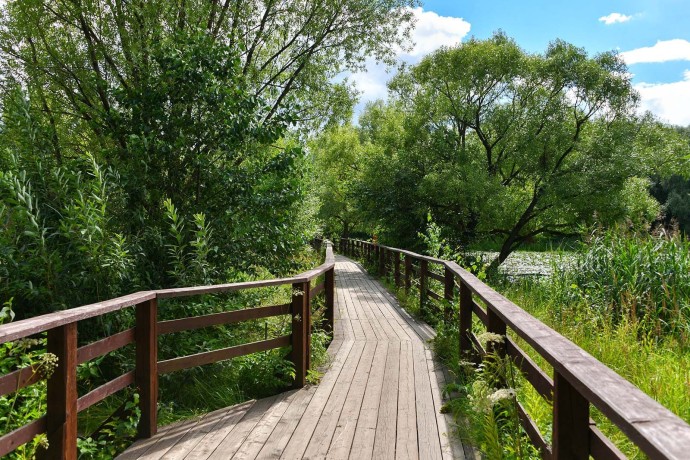 Экотропы Москвы (видеографика)