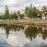 На Лебедином озере в Астрахани поселились 8 лебедей