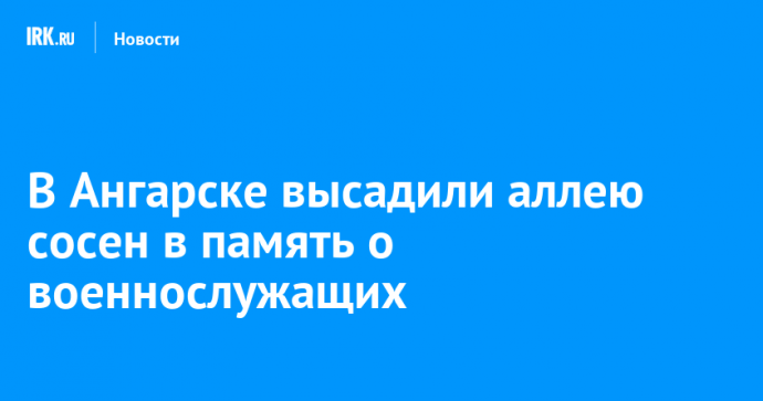 В Ангарске высадили аллею сосен в память о военнослужащих