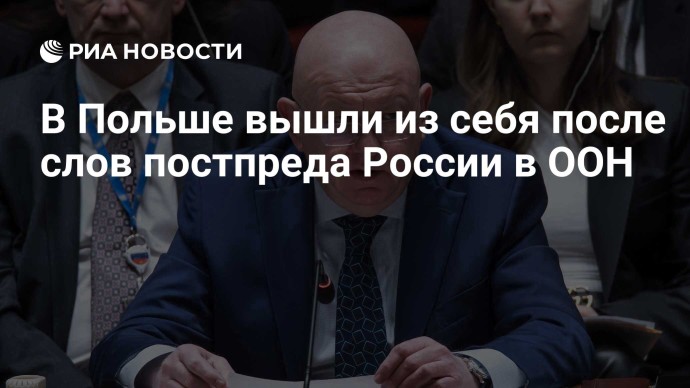 В Польше вышли из себя после слов постпреда России в ООН