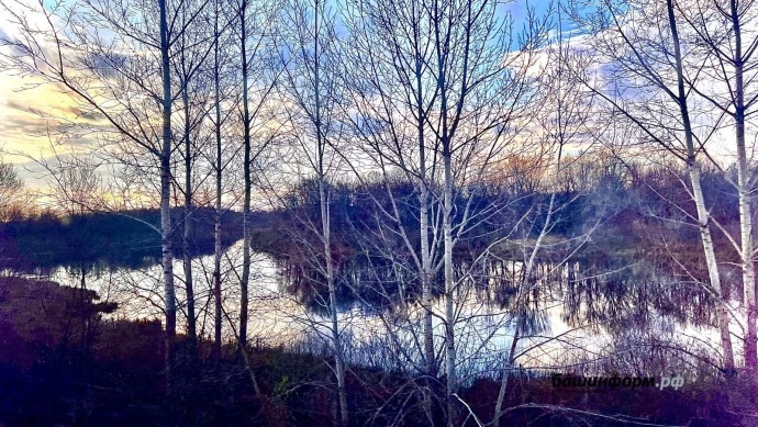 В Башкирии женщина пропала в лесу