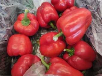 Рататуй и рулетики — топ-9 вкусных блюд из перца для жителей Башкирии