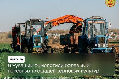 Урожай выше, чем в прошлом году: аграрии Чувашии завершают уборку зерновых