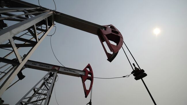 В Индии назвали Россию главным поставщиком нефти в страну