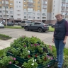 Первые работы поступили на конкурс «Украсим Родину цветами. Яркая Вятка»