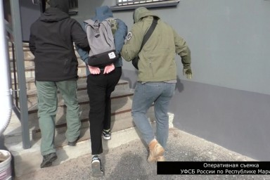 Йошкаролинец осужден за экстремистские комментарии