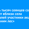 Восемь тысяч сеянцев сосны высадят вблизи села Усть-Балей участники акции «Сохраним лес»
