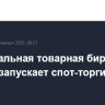 Национальная товарная биржа 19 января запускает спот-торги зерном