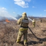 Приморье в огне: что известно о пожарах за последние сутки?