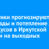 Синоптики прогнозируют снегопады и потепление до -2 градусов в Иркутской области на выходных