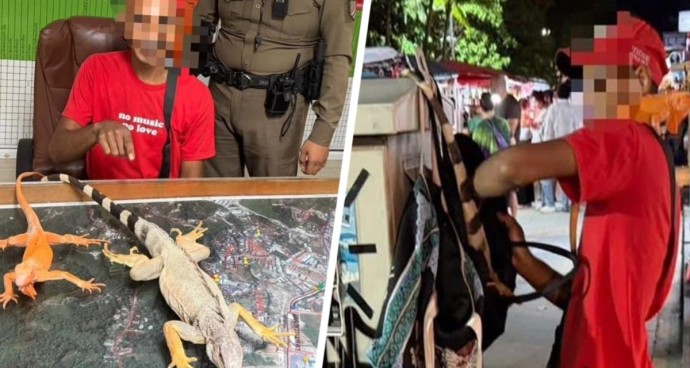 Тайский «звериный беспредел»: где российским туристам ждать развода на деньги? Тайский «звериный беспредел»: где российским туристам ждать развода на деньги?