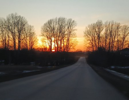 Сегодня в Башкирии потеплеет до + 12°