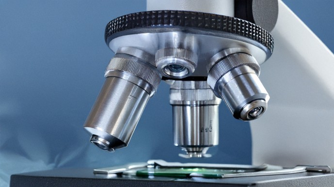 Ученые обнаружили вещество, способное бороться с раком груди Ученые обнаружили вещество, способное бороться с раком груди