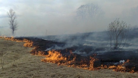 В Башкирии потушили одно возгорание сухой растительности