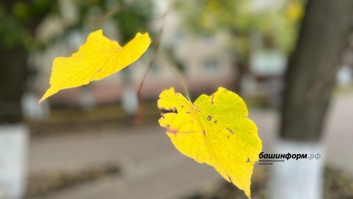 В Уфе побит температурный рекорд 60-летней давности