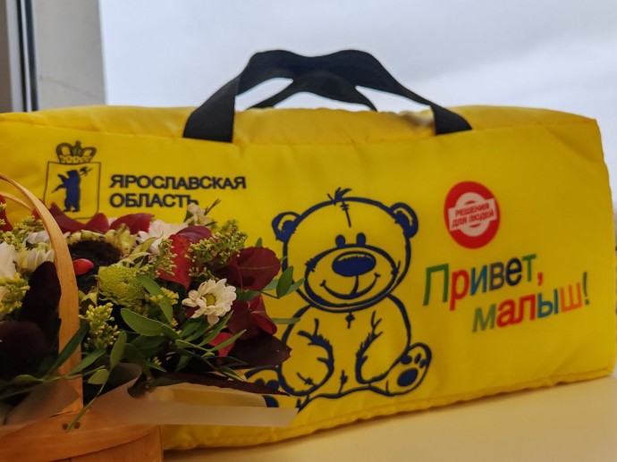 Подарки для новорожденных в Ярославской области стали мерой соцподдержки