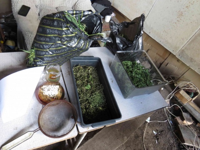 Житель Мордовии получил условный срок за хранение более 750 гр. марихуаны