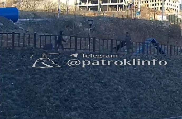 Агрессивная домашняя собака укусила женщину во Владивостоке Агрессивная домашняя собака укусила женщину во Владивостоке