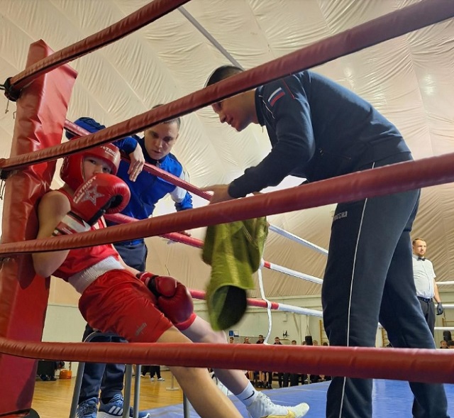 Воспитанники клуба «Юный спецназовец» и сотрудник ОСН «Гепард» стали победителями и призерами соревнований по боксу