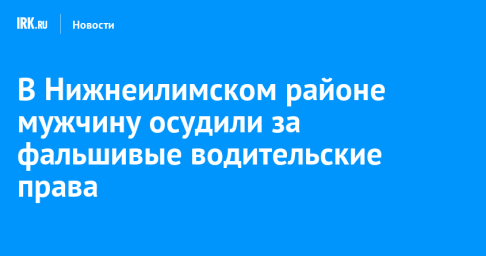 В Нижнеилимском районе мужчину осудили за фальшивые водительские права