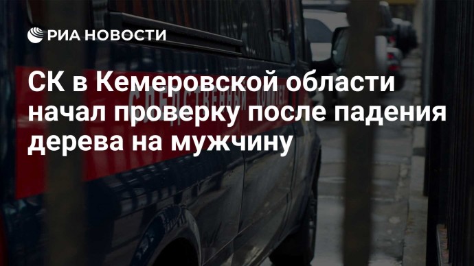 СК в Кемеровской области начал проверку после падения дерева на мужчину