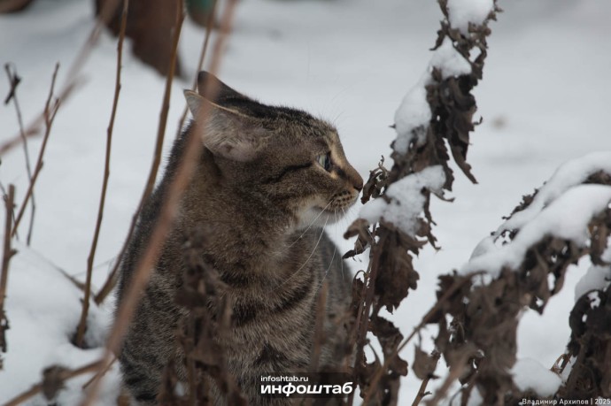 Дождь со снегом: что обещают метеорологи астраханцам 10 декабря Дождь со снегом: что обещают метеорологи астраханцам 10 декабря