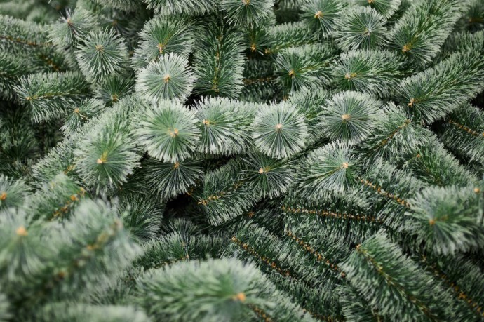 Пензенцам объяснили, почему в Терновке убрали елку с площади у ДК