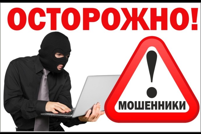 В Смоленском районе возбуждено уголовное дело по факту дистанционного мошенничества