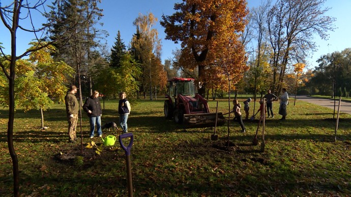 Петербуржцы присоединились к всероссийской акции «Отцовский парк»