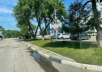 В Благовещенске продолжается сезонный покос травы на зеленых зонах и улицах