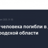 Четыре человека погибли в ДТП в Нижегородской области