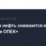 Цены на нефть снижаются на решении ОПЕК+