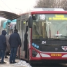 На маршрутах в Туле находится 224 единицы транспорта