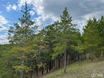 В Хангаласском районе Якутии пропала женщина