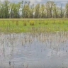Что происходит в залитой водой Астраханской области с рыбалкой 