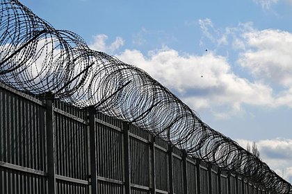 В России предложили депортировать одну категорию осужденных